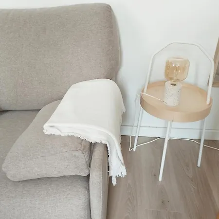 Appartement Stylish Nest: Confort Au Coeur De Pau